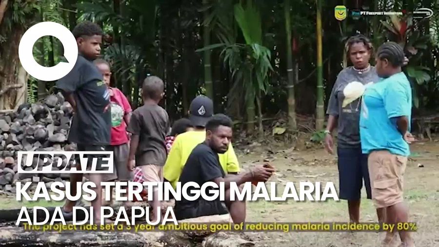 Video: Kemenkes Ungkap 92% Malaria di Indonesia Ada di Papua
