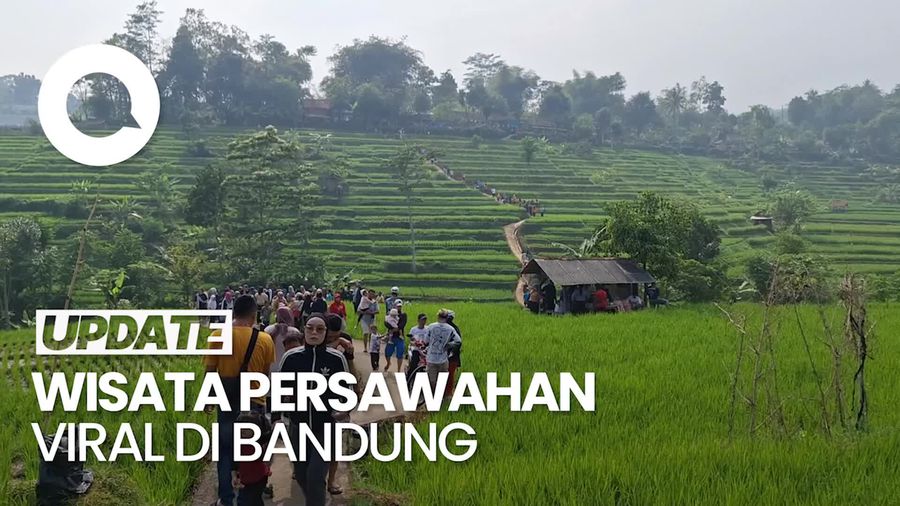 Video: Mirip Ubud! Wisata Persawahan Viral Ini Ada di Bandung