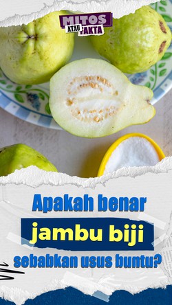 Mitos atau Fakta: Biji Jambu Klutuk Penyebab Usus Buntu