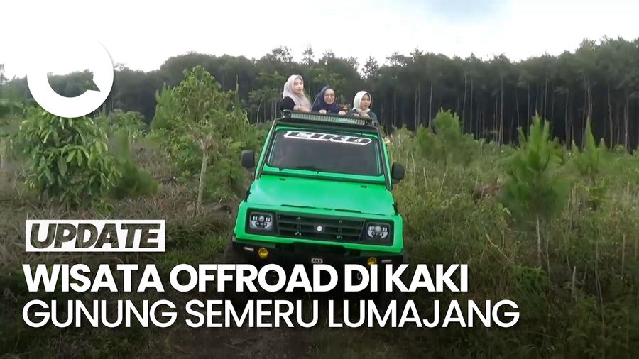 Video: Picu Adrenalin Sambil Menikmati Hutan Pinus-Sungai di Lumajang