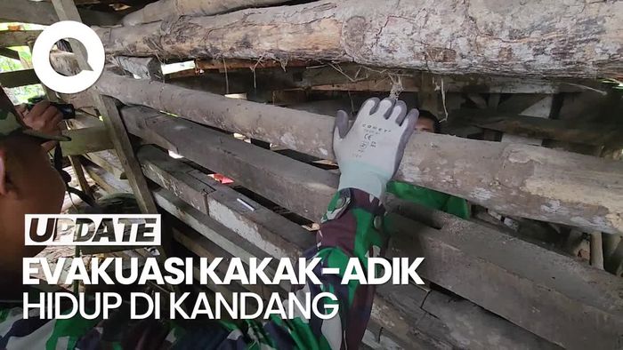 Video: Momen Dramatis Evakuasi Ha dan Sam yang Hidup 5 Tahun di Kandang