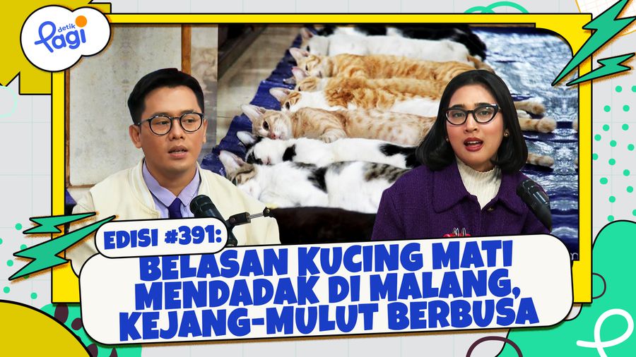 Belasan Kucing Mati Mendadak di Malang, Kejang-Mulut Berbusa