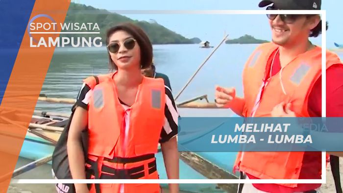 Menyaksikan Lumba-Lumba Sepanjang Perjalanan di Teluk Kiluan Lampung