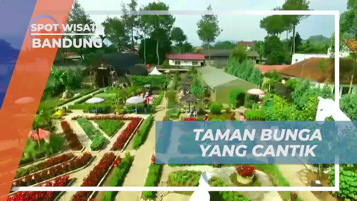 Menemukan Keunikan Bunga Cantik di Taman Begonia, Bandung
