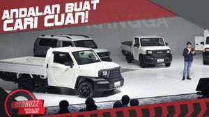 5 Hal Menarik dari Toyota Hilux Rangga: Bisa Jadi Apa Aja dan Menarik Harganya!