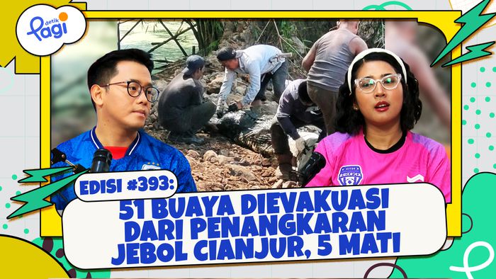 51 Buaya Dievakuasi dari Penangkaran Jebol Cianjur, 5 Mati 