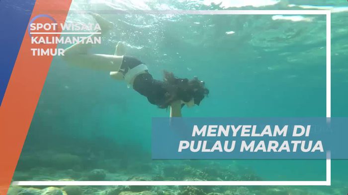 Menyelam di Laut Biru Pulau Maratua, Kalimantan Timur