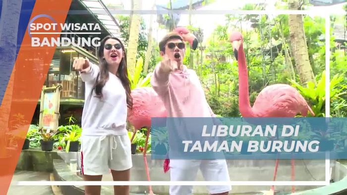 Bersantai di Taman Burung yang Menyenangkan, Bandung