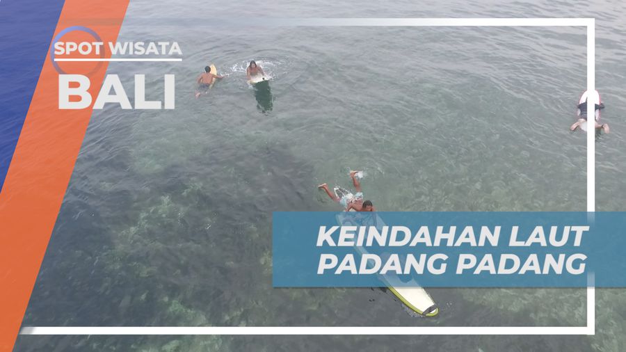 Menikmati Pesona Keindahan Alam dari Atas Papan Surfing di Tengah Laut, Bali