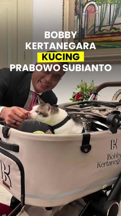 Video: Gemas! Kucing Prabowo Subianto Masuk Istana Pakai Stroller