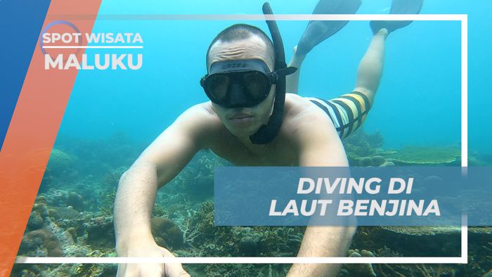 Menjelajahi Bawah Laut Benjina yang Keindahanya Memanjakan Mata, Maluku