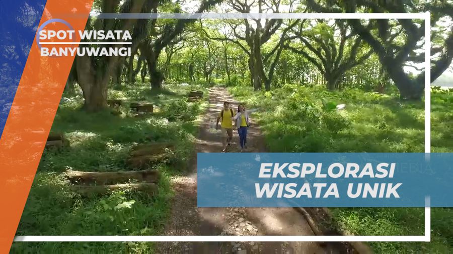 Liburan Seru Mengeksplor Destinasi Wisata Unik di Bumi Blambangan, Banyuwangi