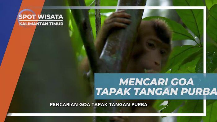 Mengeksplor Goa Tapak Tangan Purba di Hutan Kalimantan Timur