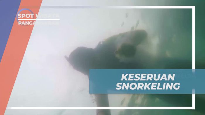 Keseruan Snorkeling di Pantai Pasir Putih Pangandaran