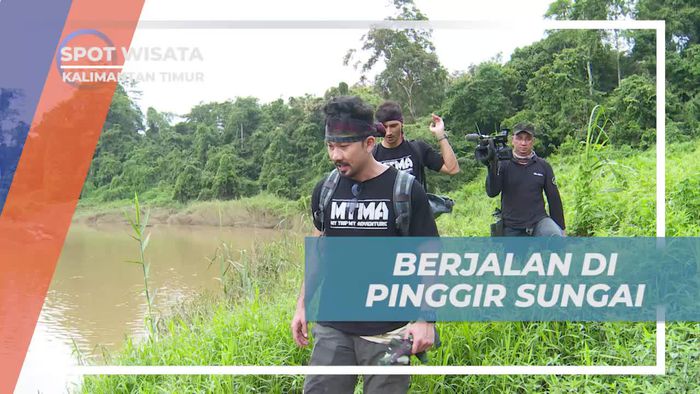 Menelusuri Pinggiran Sungai di Hutan Kalimantan Timur