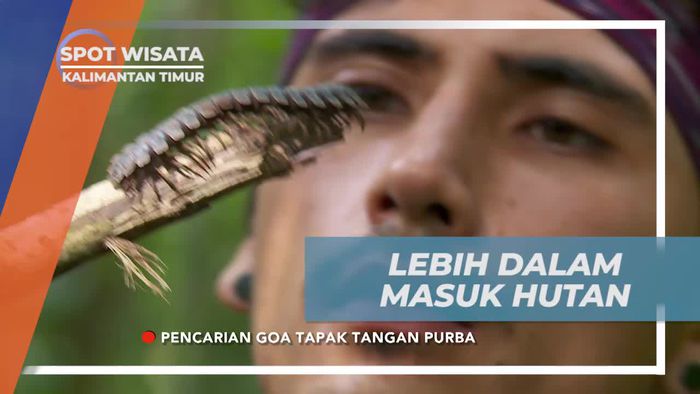 Melanjutkan Petualangan Menjelajahi Hutan Kalimantan Timur