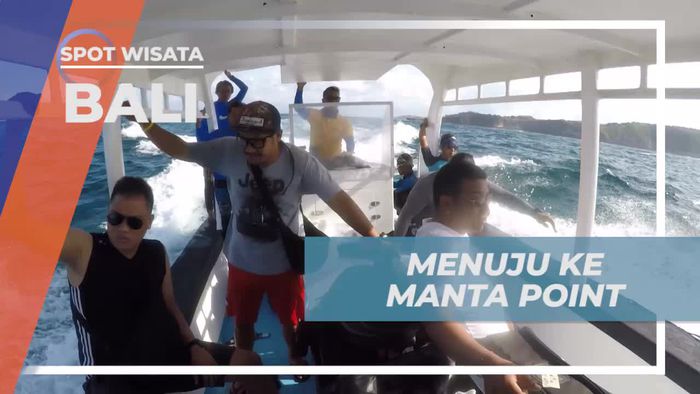 Menjelajahi Manta Point Bali dan Bertemu Ikan Manta