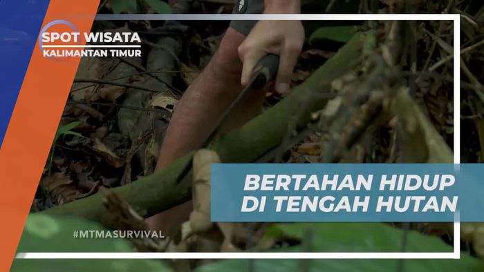 Bertahan Hidup di Kedalaman Hutan Kutai, Kalimantan Timur