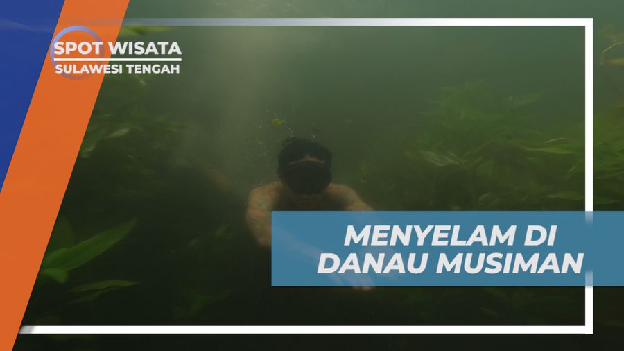 Menyelam Menjelajahi Bawah Air Danau Musiman yang Unik, Sulawesi Tengah