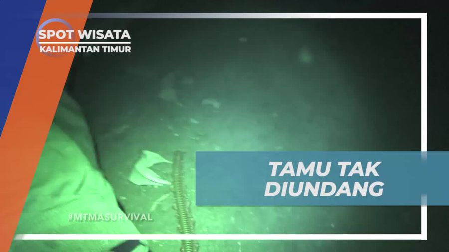 Menghadapi Hewan Tak Diundang di Goa, Kalimantan Timur
