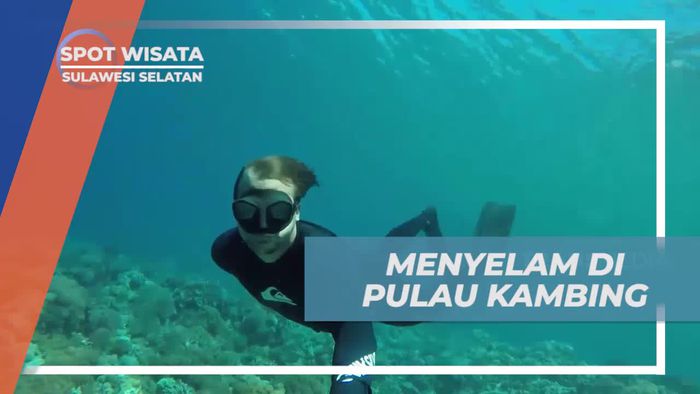 Menyelam dan Menikmati Keindahan Laut Pulau Kambing, Sulawesi Selatan