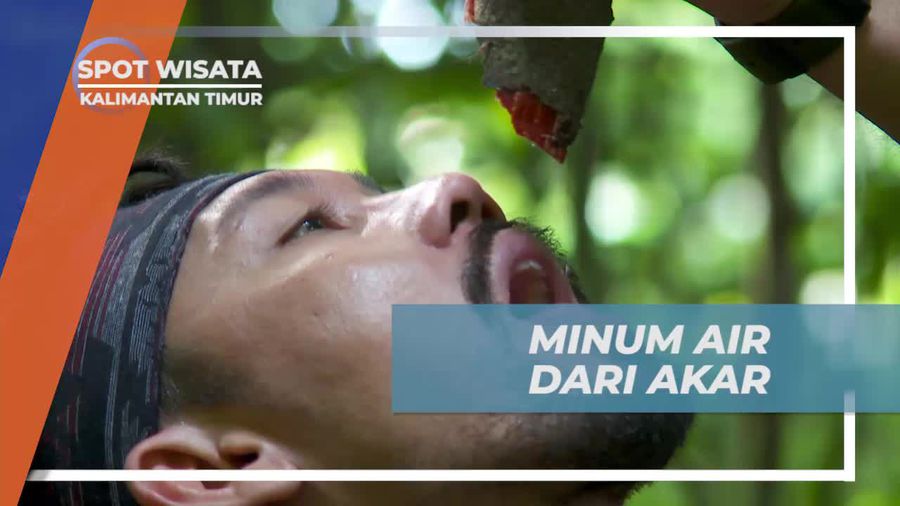 Meminum Air dari Akar Tumbuhan, Kalimantan Timur