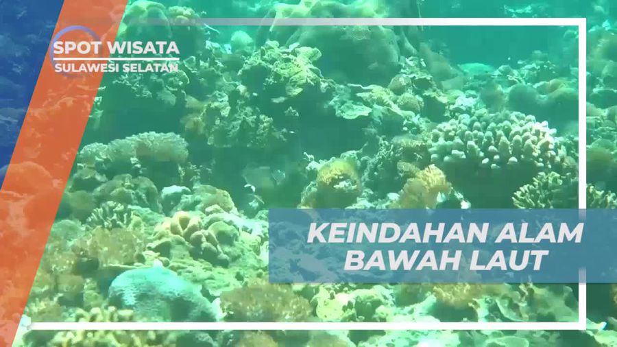 Keindahan Bawah Laut Pulau Kambing, Sulawesi Selatan