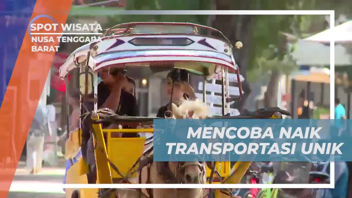 Menikmati Perjalanan dengan Cidomo, Nusa Tenggara Barat