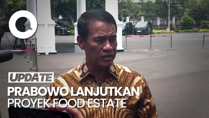 Video Food Estate Bakal Dilanjutkan, Mentan: Untuk Masa Depan Negara