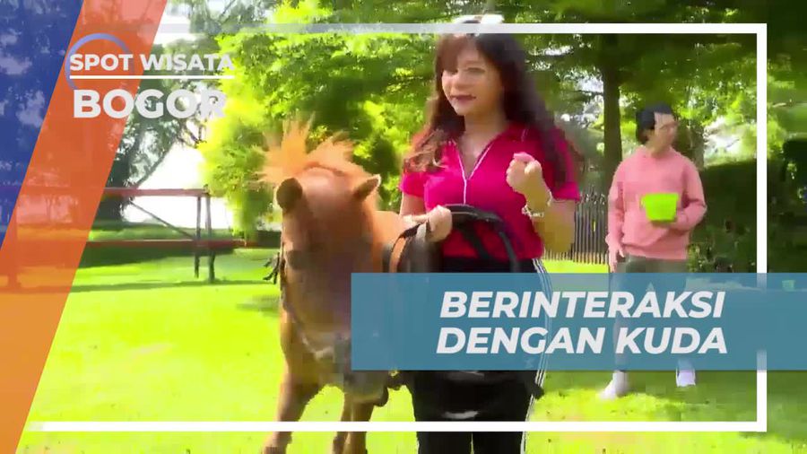Berinteraksi dan Bermain Bersama Kuda di Rancamaya, Bogor