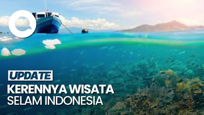 Video: ⁠3 Wisata Selam Indonesia yang Diklaim Terbaik di Dunia