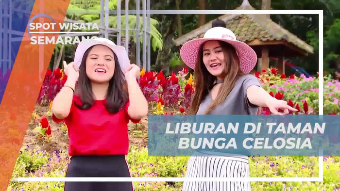 Liburan Seru di Taman Bunga Celosia, Semarang
