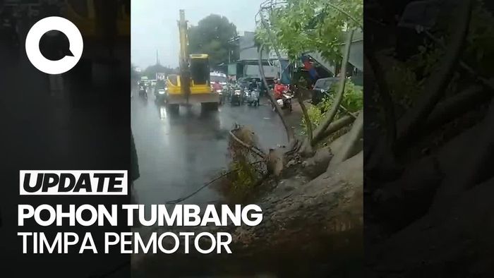Video: Pohon Tumbang di Pondok Cabe, 1 Pemotor Tertimpa