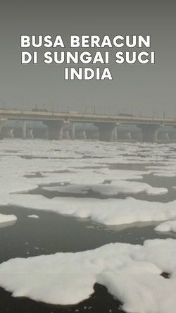  Penampakan Hamparan Busa Beracun di Sungai Yamuna India