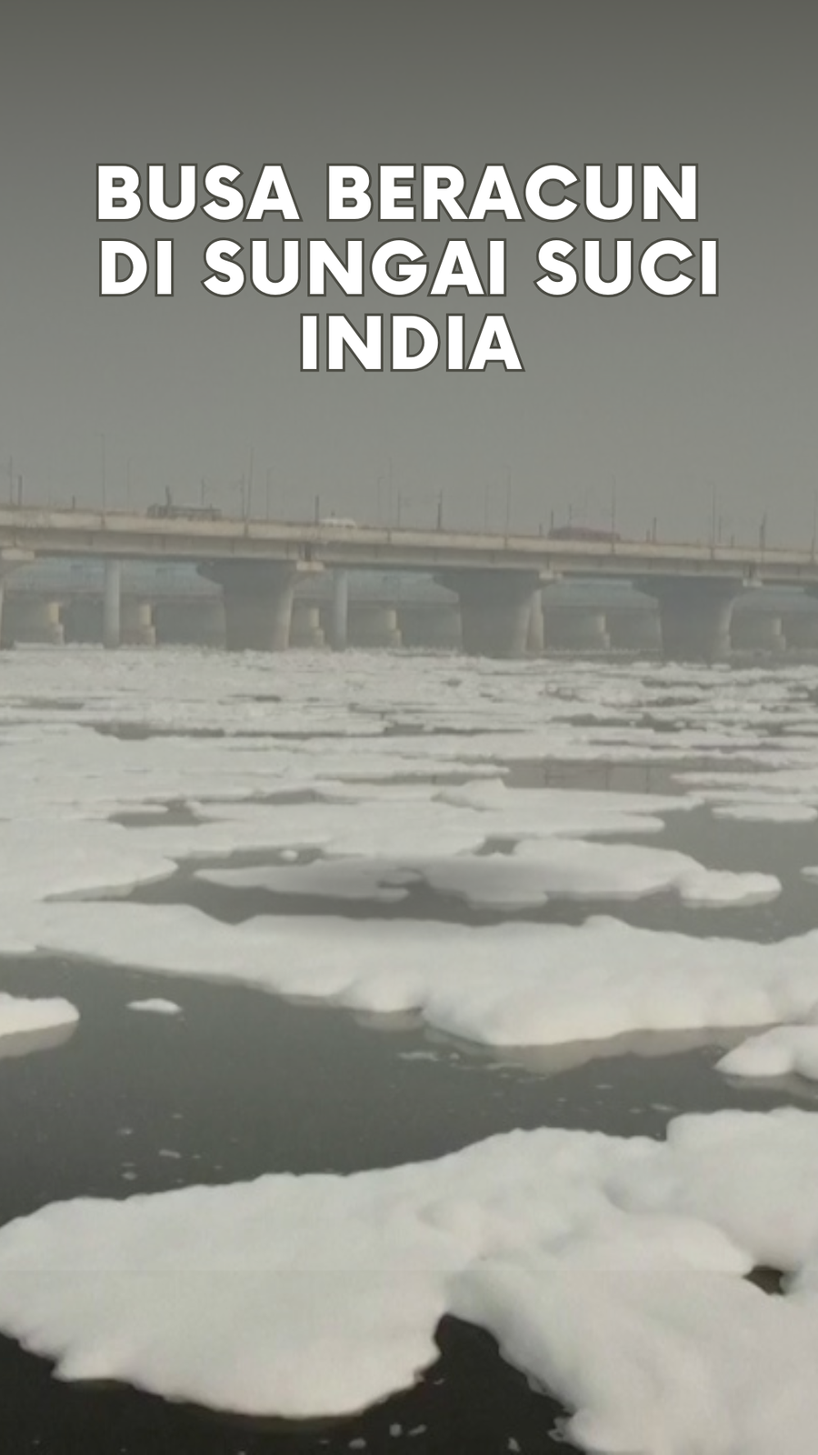 Video: Penampakan Hamparan Busa Beracun di Sungai Yamuna India