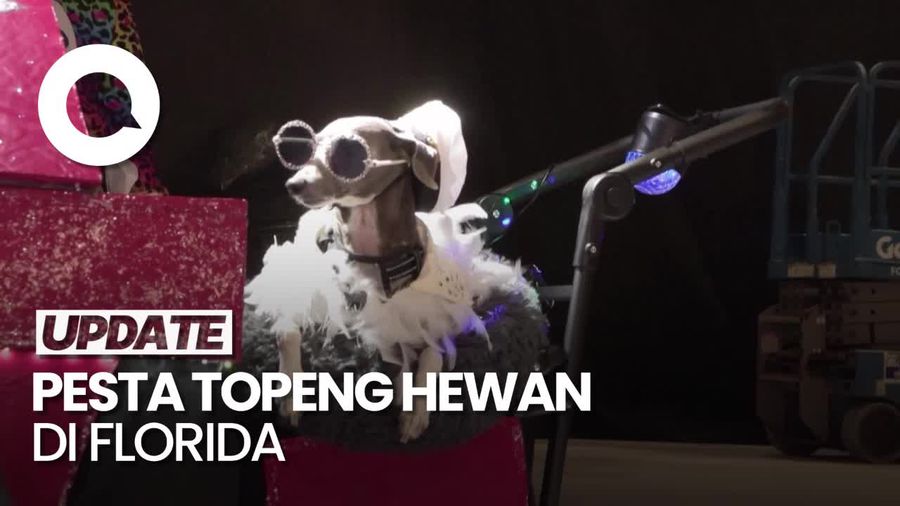 Video: Melihat Keseruan Pesta Topeng Hewan di Fantasy Fest