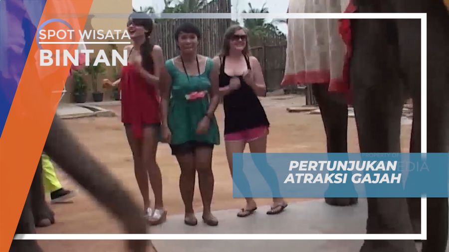 Melihat Pertunjukan Seru Gajah di Jumbo Park Bintan