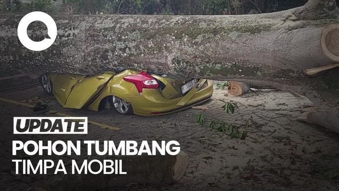 Video Pohon Tumbang Timpa 9 Mobil Wisatawan di Farmhouse Lembang