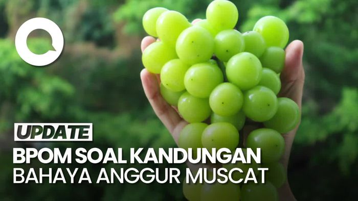 Video: BPOM Tanggapi Temuan Kandungan Berbahaya di Anggur Muscat
