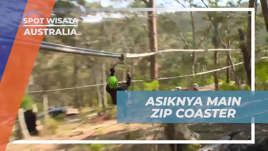 Bermain Zip Coaster yang Menegangkan di Australia