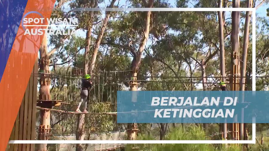 Berjalan di Ketinggian Menantang di Live Wire Park, Australia