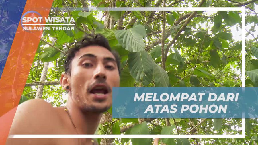 Melompat dari Pohon Menantang Adrenalin di Danau Musiman, Sulawesi Tengah