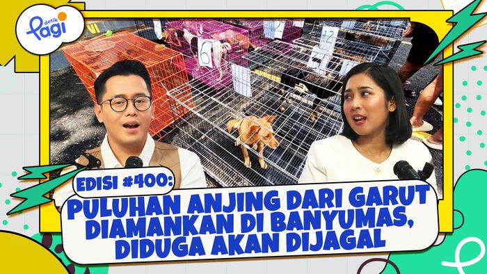 Puluhan Anjing dari Garut Diamankan di Banyumas, Diduga Akan Dijagal