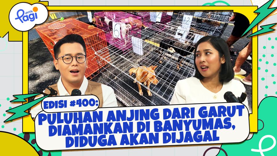 Puluhan Anjing dari Garut Diamankan di Banyumas, Diduga Akan Dijagal