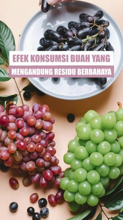 Video: Dampak Konsumsi Anggur Shine Muscat yang Mengandung Residu Berbahaya