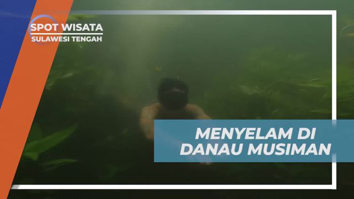 Menyelam Menikmati Pemandangan Bawah Air di Danau Musiman, Sulawesi Tengah