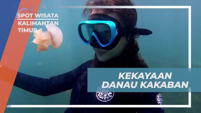 Mengagumi Kekayaan Alam di Danau Kakaban, Kalimantan Timur