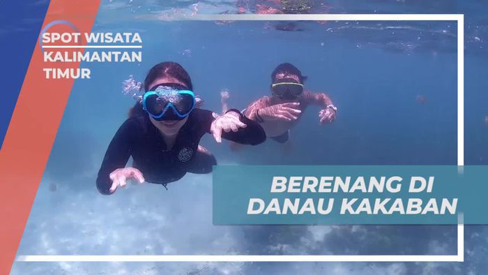 Menikmati Keseruan Berenang di Danau Kakaban, Kalimantan Timur