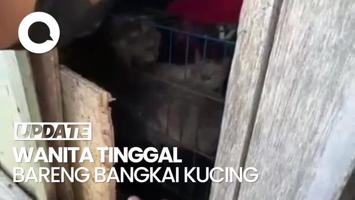 Video: Heboh Warga Magelang Tinggal Bareng Bangkai Belasan Kucing