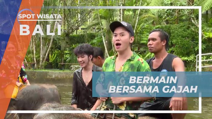Menikmati Liburan Seru Bermain Air Bersama Gajah di Bali
